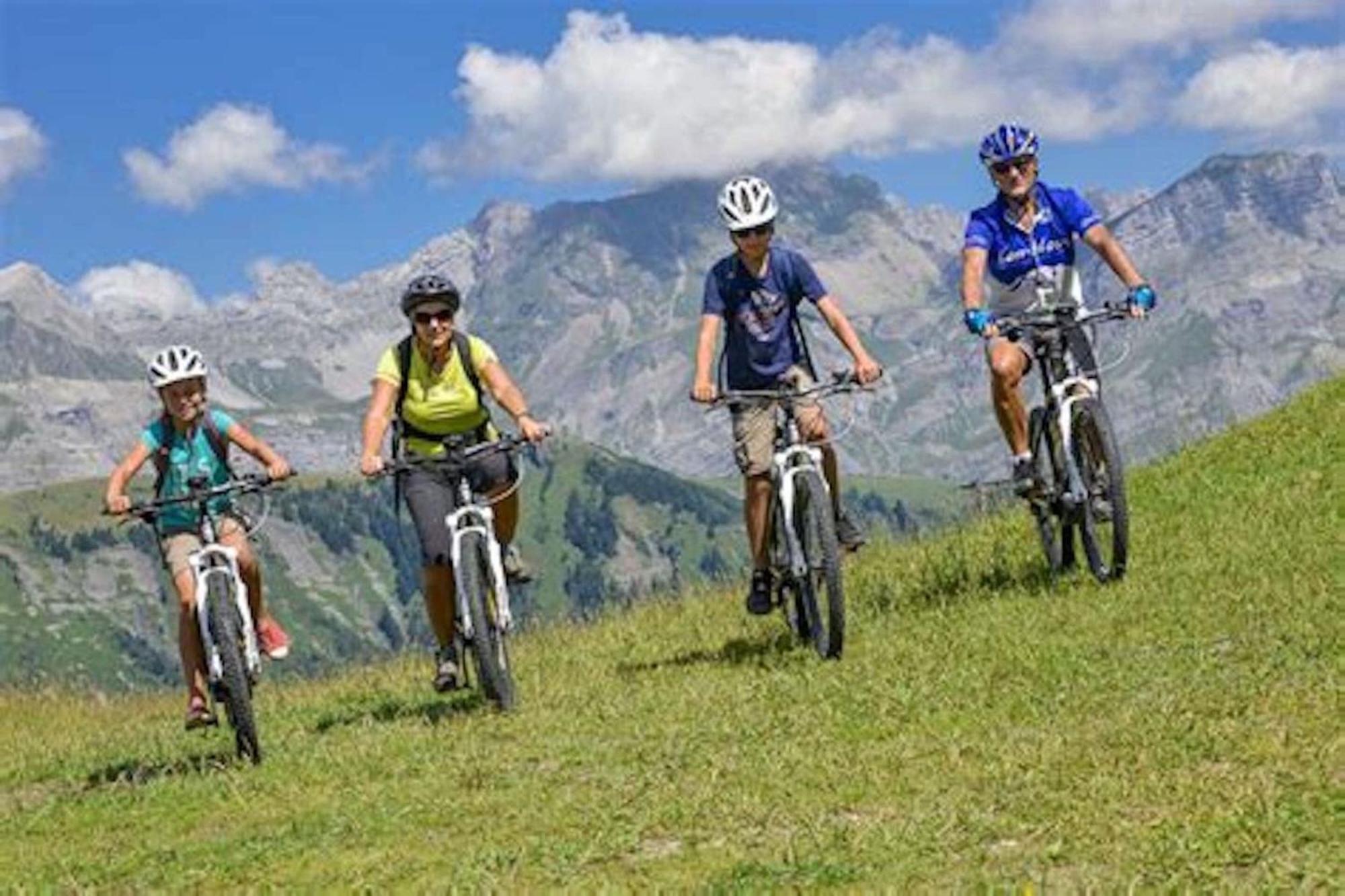 Les Aiguilles De Warens Aparthotel Combloux Bagian luar foto